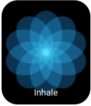 AMAZFIT Bip 3 Smartwatch - figure 10