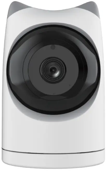 SIEANE F4 Surveillance Cameras