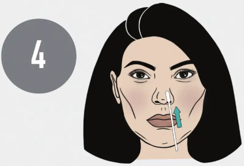 ECL COVID 19 At Home Collection Kit - entire absorbent