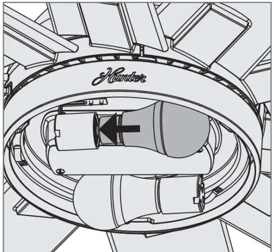 Installing the Bulbs and Glass