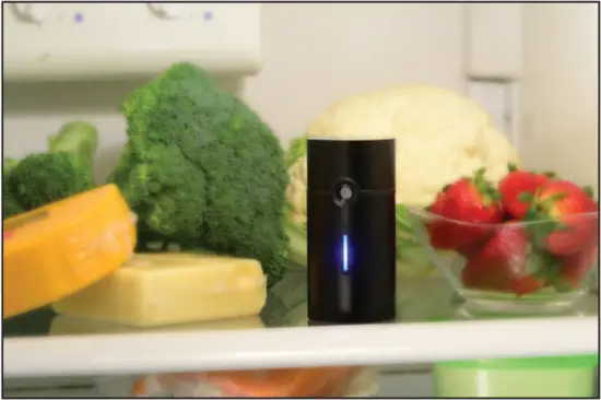 EdenPURE A6007 OxiLeaf Refrigerator Air Purifier 1