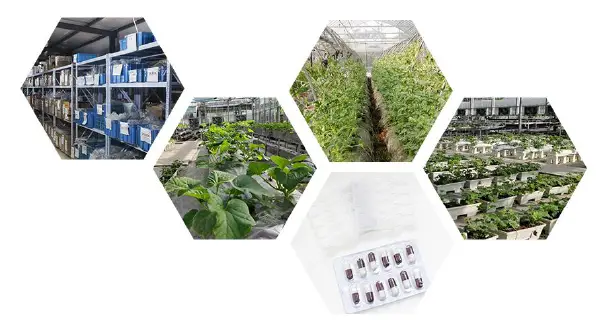 SONBEST-SM1901M-Current-Type-4-20mA-Noise-Sensor-FIG-5