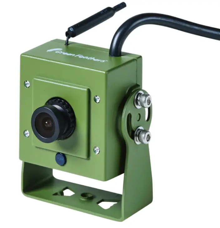 Green-Feathers-GFWF3GB-B01-Bird-Box-Camera