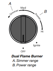 Dual Flame Burner