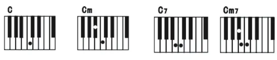 Schubert 10030409 Keyboard - microphonesf