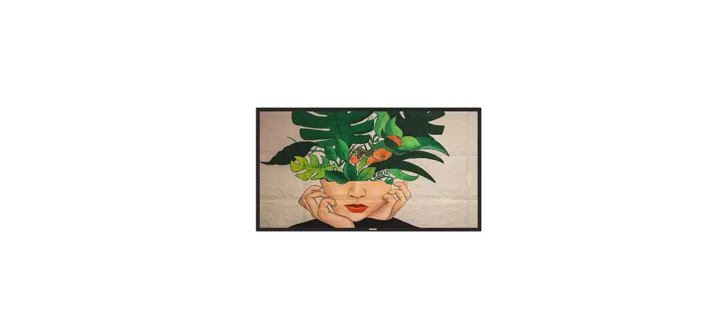 Philips 65bdl4510d D Line Professional Display Solutions User Guide