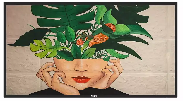 PHILIPS-65BDL4510D-D-Line-Professional-Display-Solutions-product