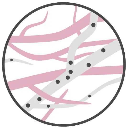 How intra-oral spray
technology works