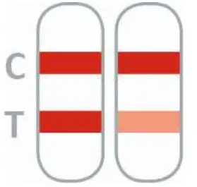 nal von minden 351006N-05 Nadal D-Dimer Test - Figure 2