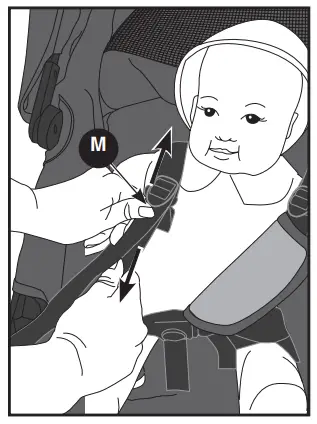 Evenflo Pivot Xpand Modular Stroller - Harness3