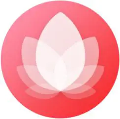 Shenzhen Wo Koxun Electronic Technology AK26 Smart Bracelet- Female