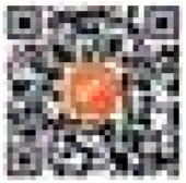 Shenzhen Do Intelligent Technology GT01 A Smart Watch Body Temperature Mobile Phones - qr code