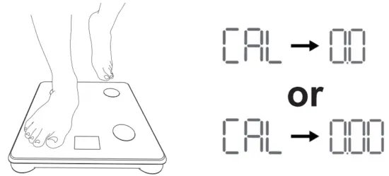 RENPHO R A006 Inview Smart Scale - Fig 12