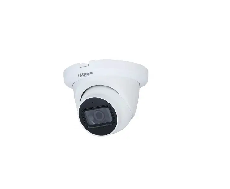 Dahua N45dj62 Network Eyeball Cameras User Guide