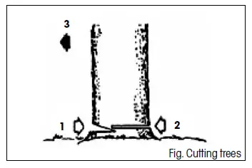 FIELDMANN FZP 3714 B Petrol Chain Saw-7
