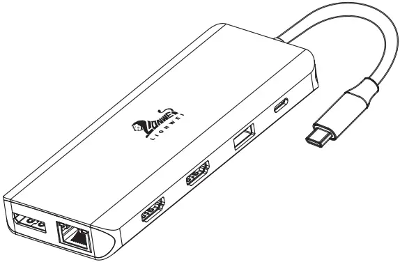 LIONWEI All-In-One USB-C HUB with Triple DisplayA01