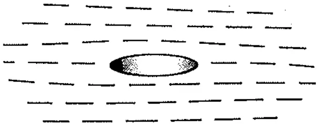 Stiefel Biopsy Punch fig 1