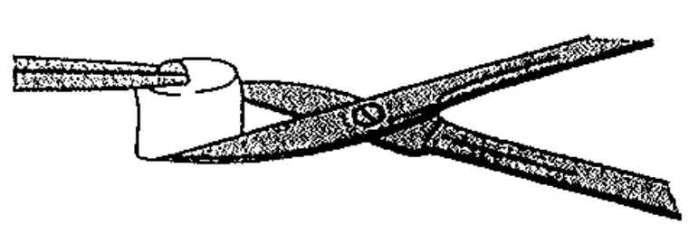Stiefel Biopsy Punch fig 2