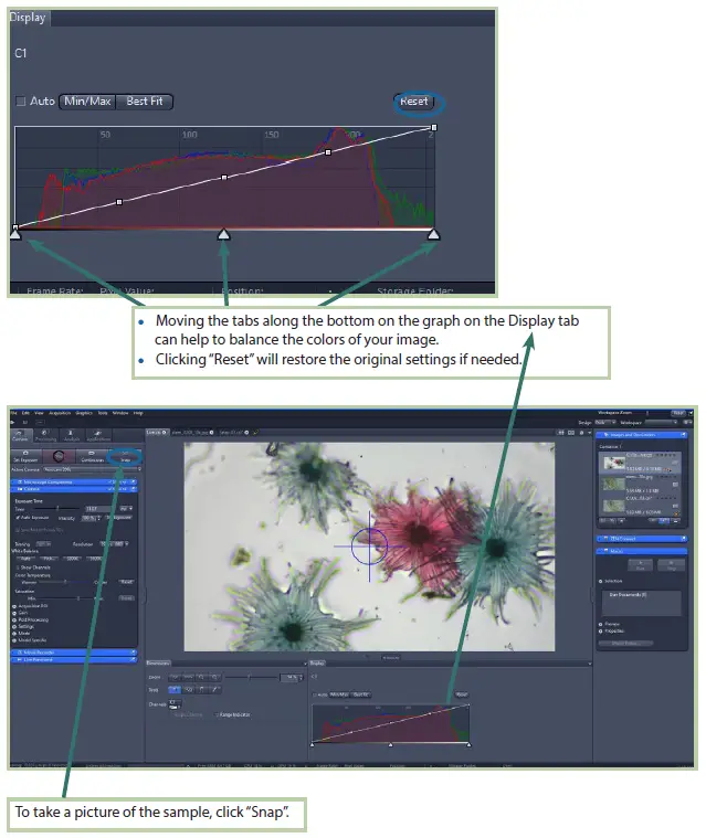 Microscope-World-ZEISS-ZEN-Lite-Software-FIG-12