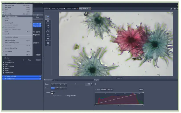 Microscope-World-ZEISS-ZEN-Lite-Software-FIG-14