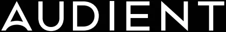 AUDIENT logo