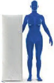 Everlasting Comfort LOGO - ICON 1