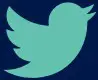 Twitter Icon