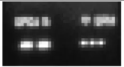 a close up of a window