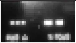 a close up of a tiled wall