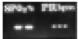 a close up of a tiled wall