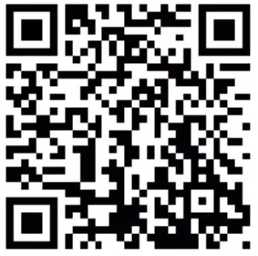 REGENCY F180B 1 Renmark Freestanding Wood Fire - QR