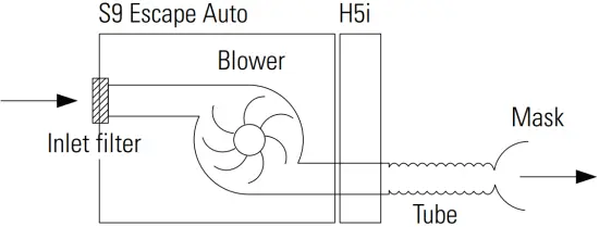 Pneumatic flow path