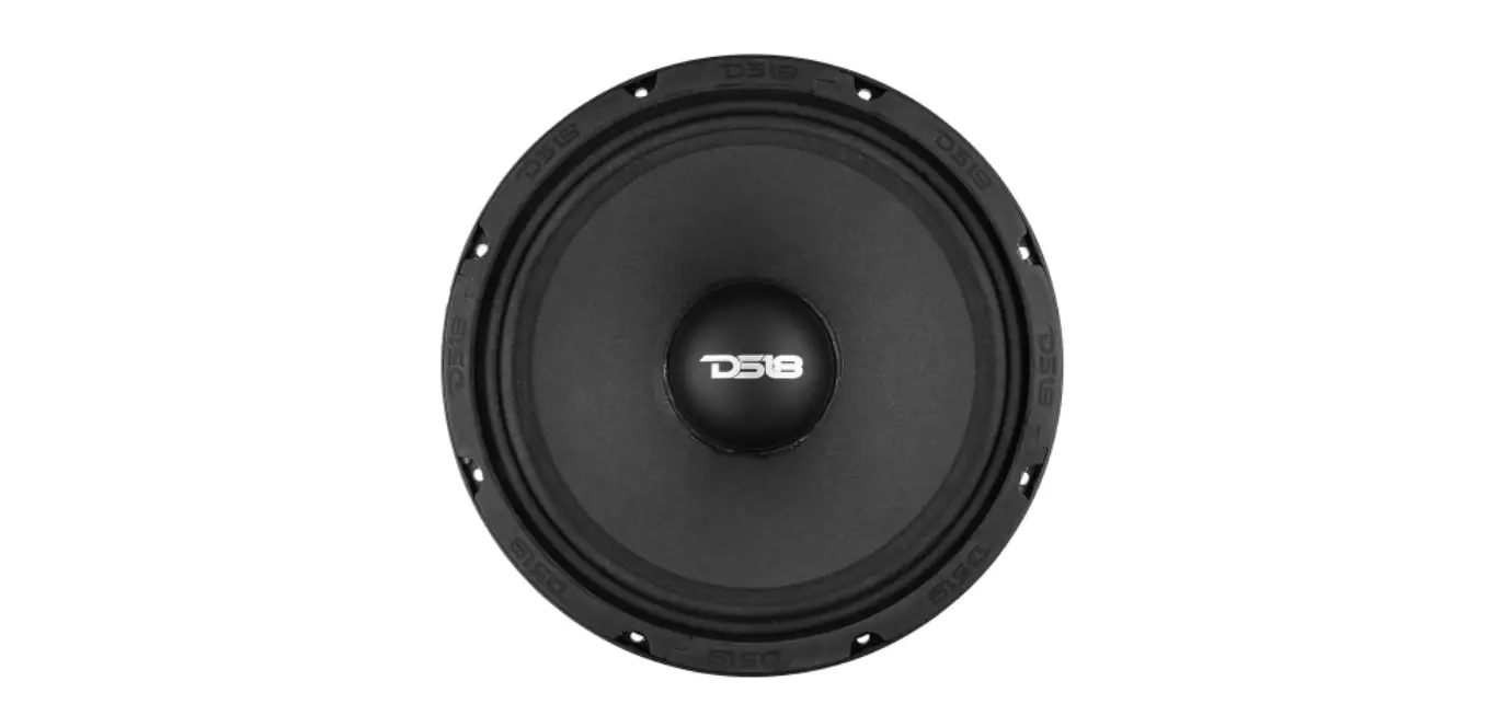 Ds18 Slc-md12 12 Inch Subwoofer With Ppi Cone Owner's Manual Ds18 Slc-md12 12 Inch Subwoofer With Ppi Cone Owner's Manual