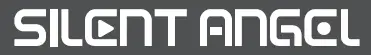 SILENT-ANGEL-Bremen-B2-HiFi-Streamer-logo