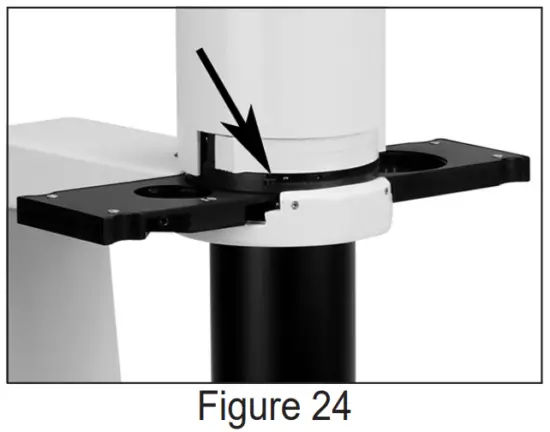 Brightfield and Phase