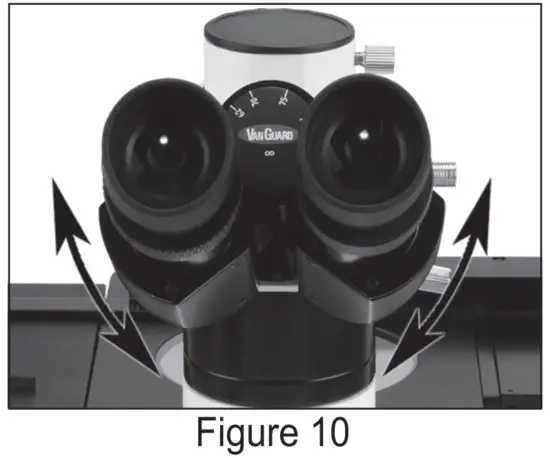 Interpupillary and Diopter Adjustment