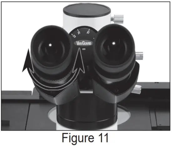 Interpupillary and Diopter Adjustment