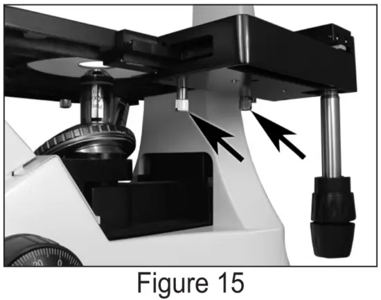 mechanical stage assembly