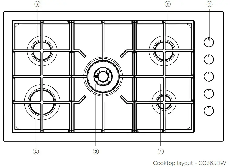 FISHER PAYKEL CG365DW Gas Cooktop - INTRODUCTION