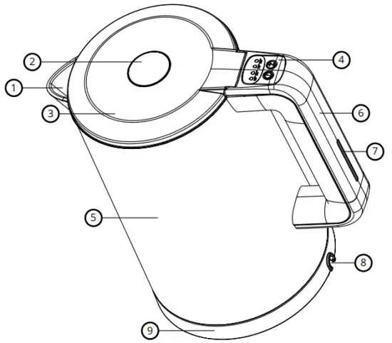 niceboy Ion Smart Electric Kettle - KETTLE SCHEME