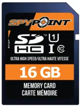 SPYPOINT Solar Trail Camera 2021-08-02_230120