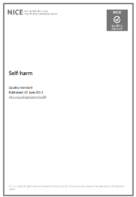 manchester NCISH Self Audit Toolkit - 16