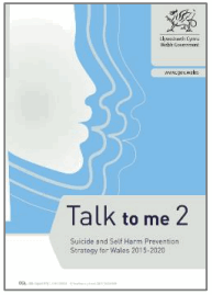 manchester NCISH Self Audit Toolkit - 37