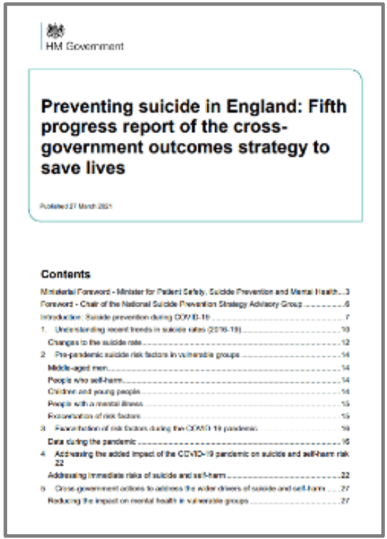 manchester NCISH Self Audit Toolkit - FIg 2