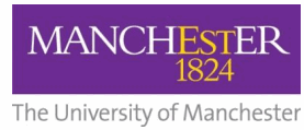 manchester logo2