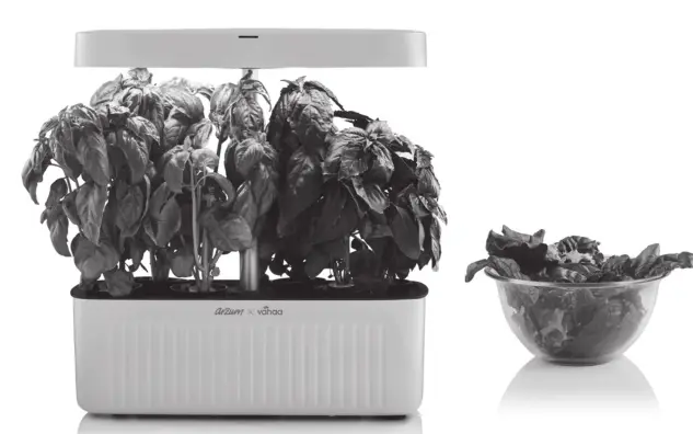 Rain-Flo IRRIGATION 1670 Water Wheel Transplanter -