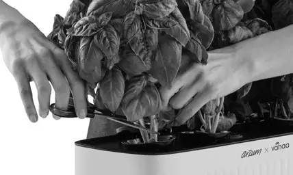 arzum AR1158 Vahaa Smart Garden - Fig 7