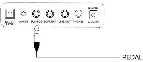 GEWA KEYS PP-3 Portable Piano-fig6