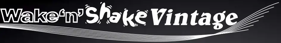 geemarc Waken Shake Vintage Alarm Clock with Shaker logo 2