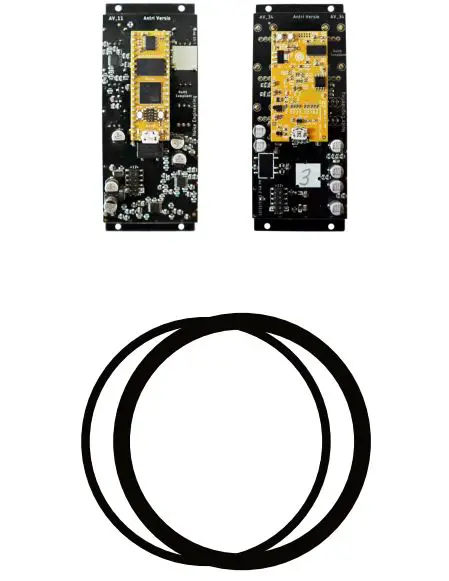 Noise Engineering Melotus Versio Stereo Texturizer - Power